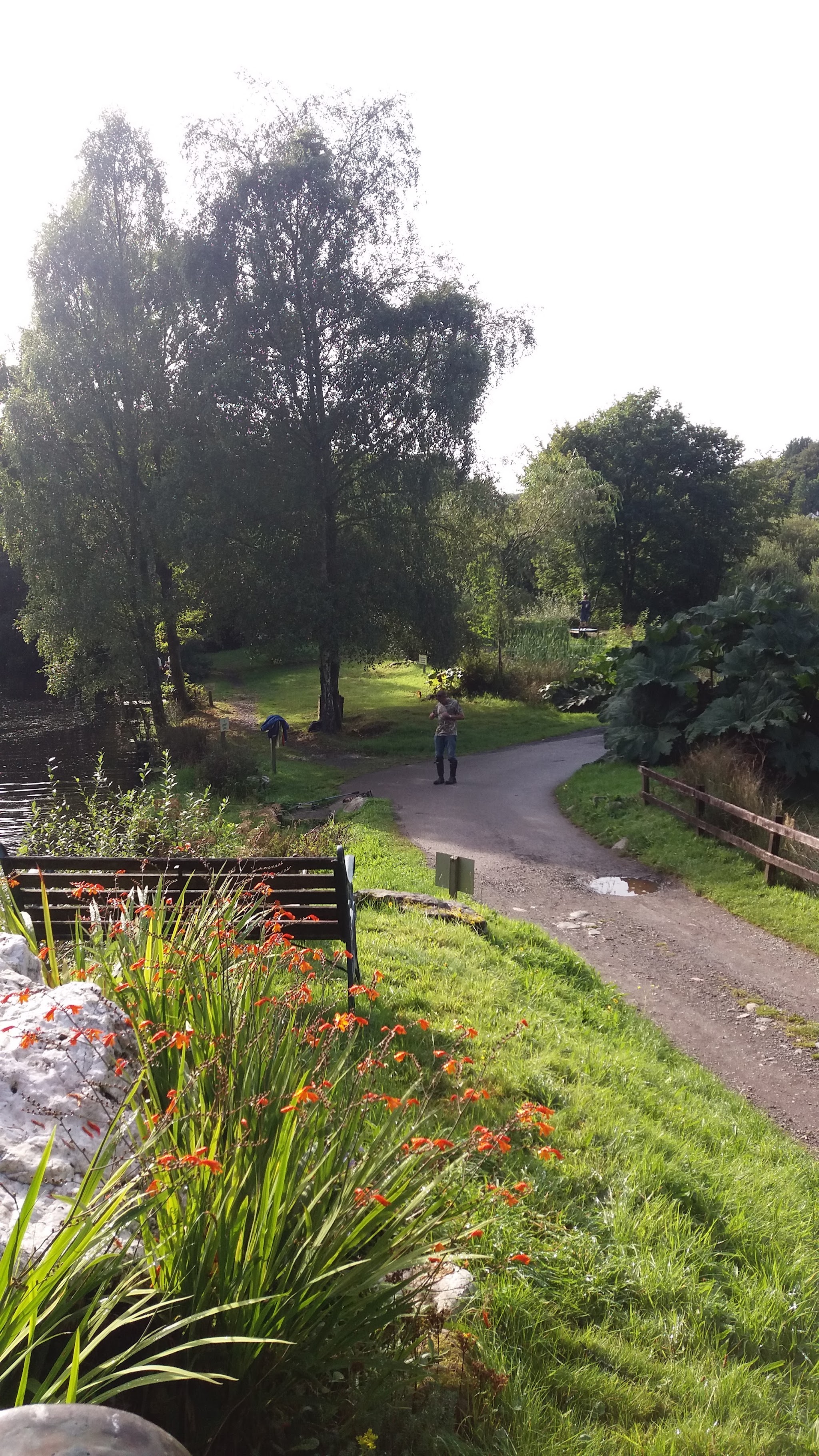 The lakeside path with orange crocosmia, a bench and trees