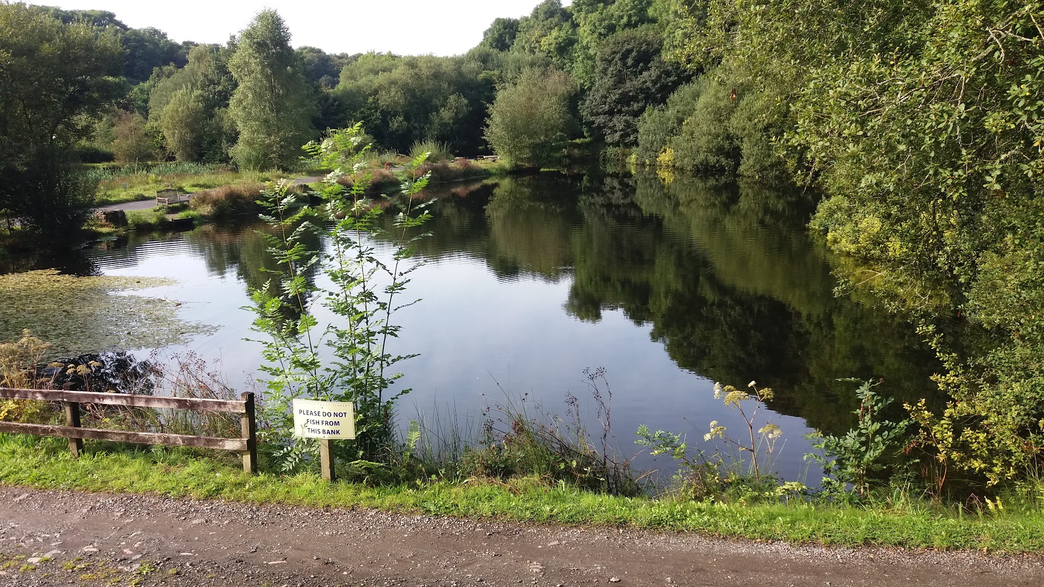 A fly lake with still reflections, edged with trees