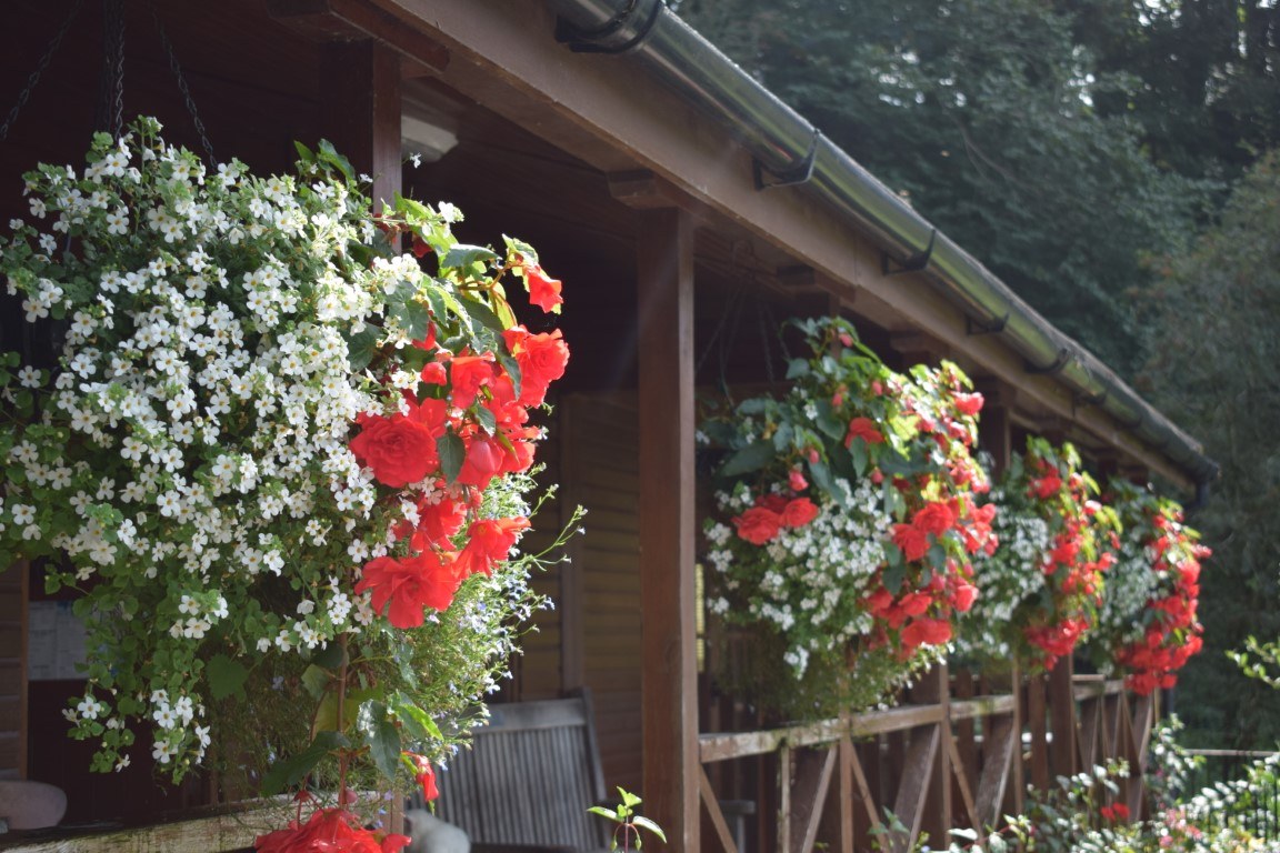 The timber lodge veranda with red and white flowers