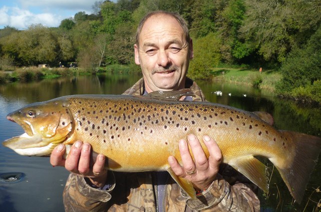 An angler holding a golden brown trout towards the camera