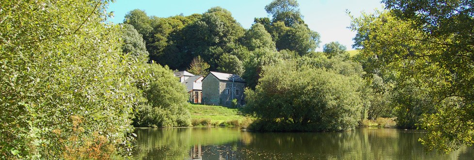 A fly lake on the estate with the cottages beyond the trees