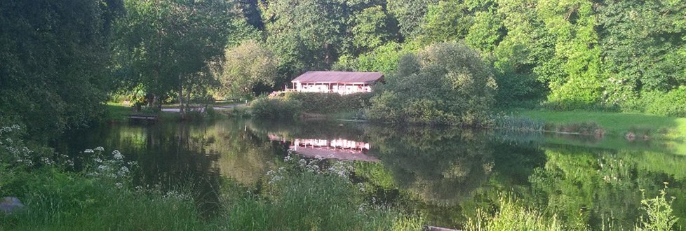 The attached log cabins on the bank of a fly lake