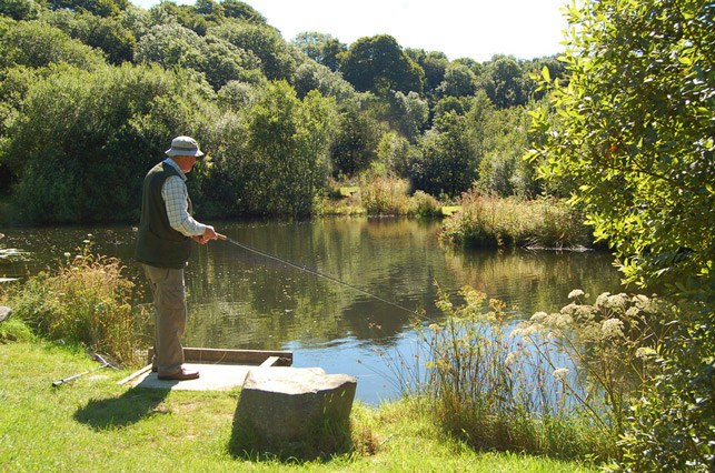 An angler casting from a fishing stand on a tree-lined lake