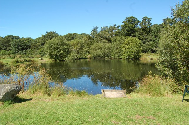 The far end of a fly lake with trees reflected